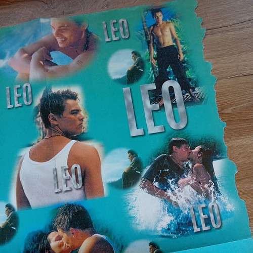 Leo poster 38x55cm like new, collectible