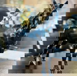  ΔΙΑΚΟΣΜΗΤΙΚΟ ΑΛΟΓΟ RESIN ΜΑΥΡΟ/ΧΡΥΣΟ INART