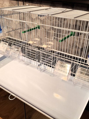 Metal double bird cage 60×25×33 cm with feeders and perches