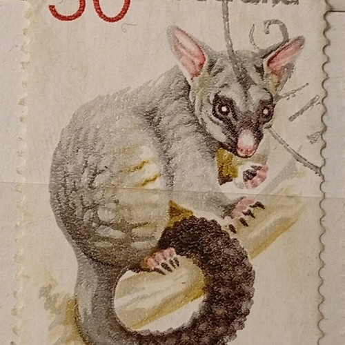 Australia stamp used