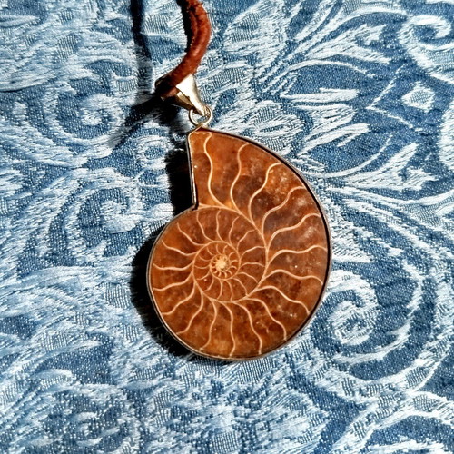 Ammonite pendant new with metal frame and leather cord
