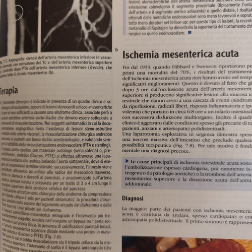 Chirurgia medical book used, 2 volumes with CD-ROM by Renzo Dionigi