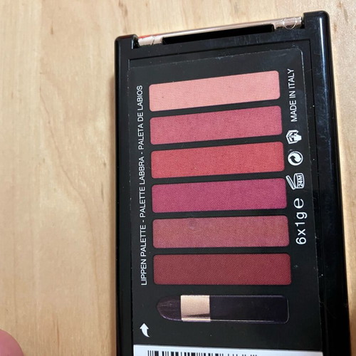 L’Oréal lip palette used