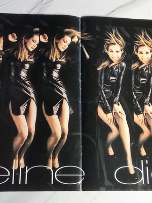 Celine Dion posters set 90s nostalgia like new