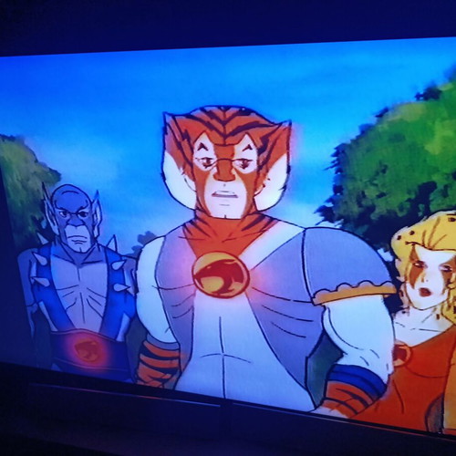 Thundercats: The Space Cats No 2 VHS like new, dubbed