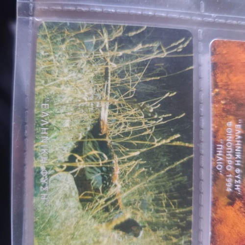 Phone card Greek nature Pheasant 11/95 like new