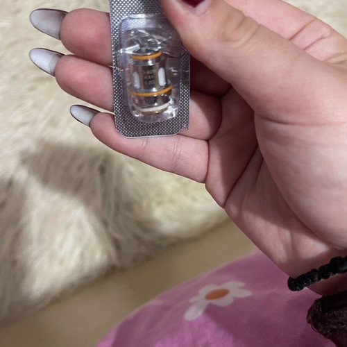 Geek Vape Electronic Cigarette Coil New Z Series 0.2Ω