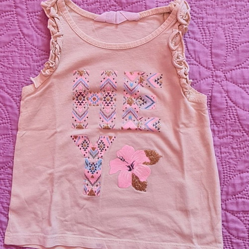 Pack of 12 t shirts for 2-year-old girl like new