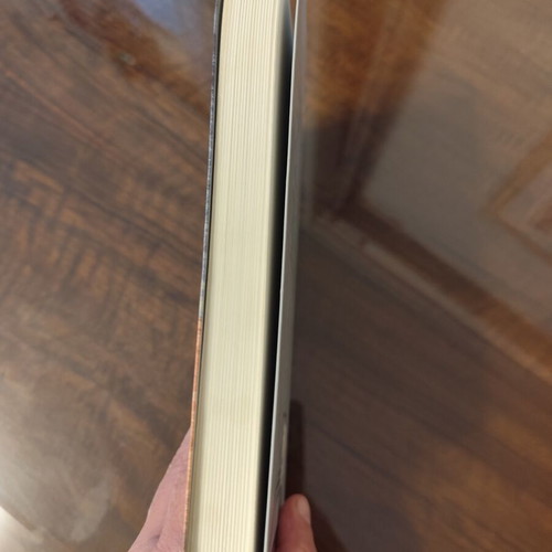O Agios Tis Monaxias by Ioanna Karystiani book like new