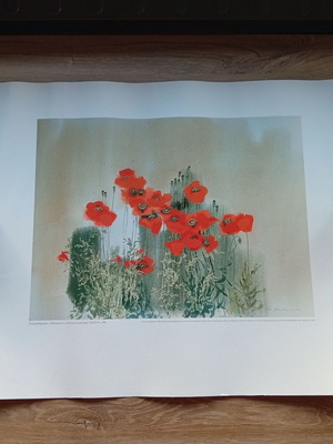 Art print "Παπαρούνες" by Giorgis Varlamos, new, 63x50 cm