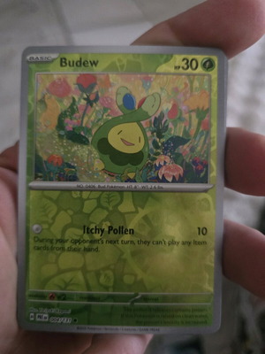 Pokemon Card Budew new