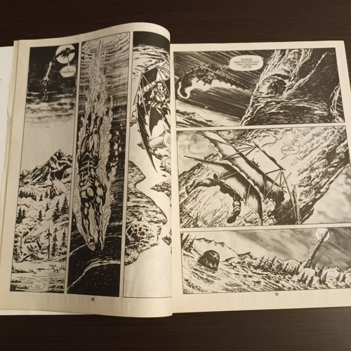 Conan Special Volume 1 used with English Conan The Barbarian #254 edition