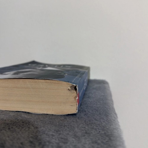 Hitler The Last Days 1945 book by Hugh Trevor-Roper