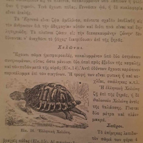 Natural History 1913 hardcover book with wood engravings