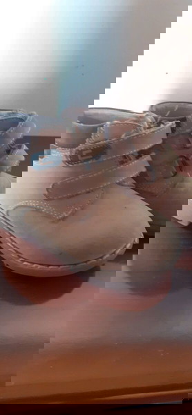 Μποτίνια