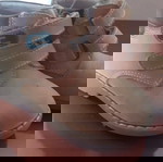  Μποτίνια