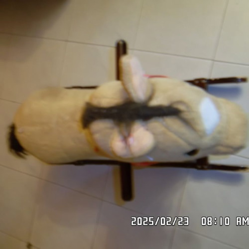Rocking horse used for small children