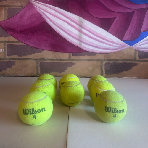 Tennis ball set of 8 with mesh carrying bag, Wilson, Head Pro, Penn