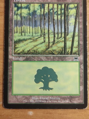 Forest Magic the Gathering card used, Onslaught