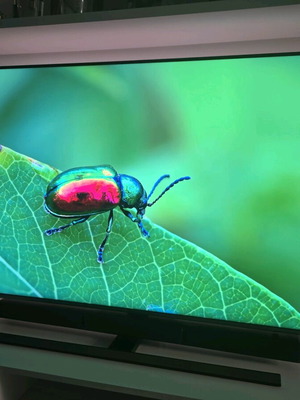 Samsung 55" Premium UHD Smart TV UA55NU8000, 120Hz, като нов