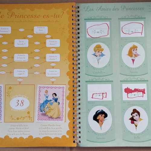 Panini Disney Princess Sticker Album used French edition