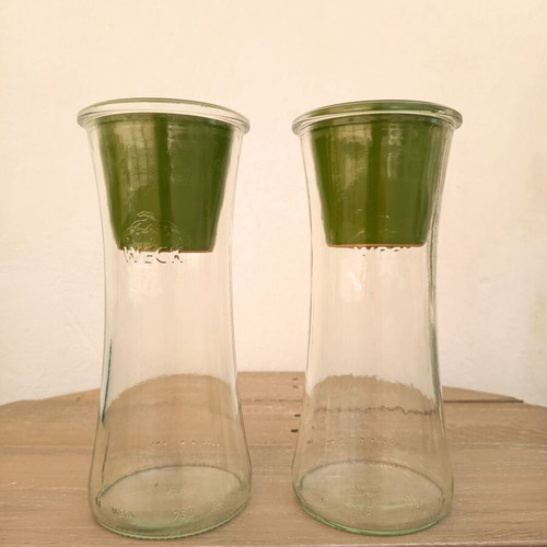 Self-Watering Plant Vases by Nature & Découvertes used
