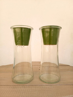 Self-Watering Plant Vases by Nature & Découvertes used