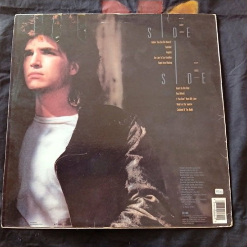 Richard Marx Repeat Offender LP used, rock