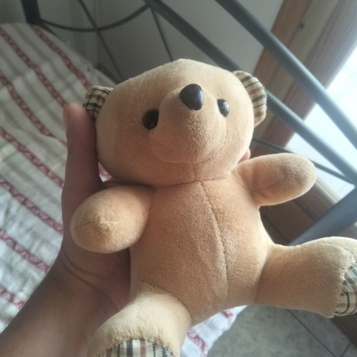 Plush teddy bear in like new condition