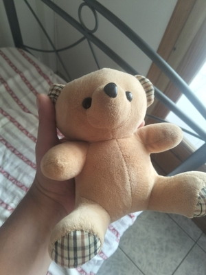 Plush teddy bear in like new condition