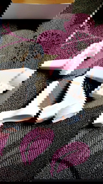 FIMI X8 SE