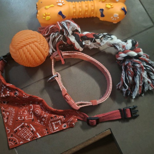 Pet toys and leashes like new, 2 leashes, ball and 2 toys