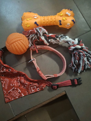 Pet toys and leashes like new, 2 leashes, ball and 2 toys