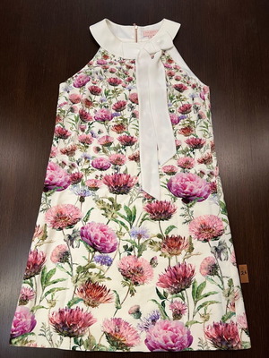 Ted Baker dress size 2 small like new, multicolored