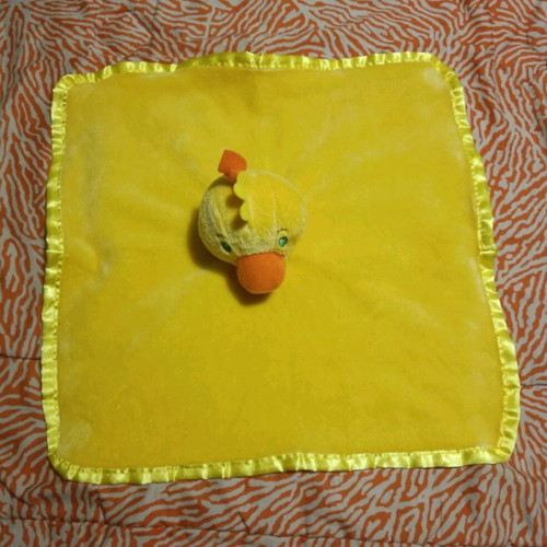 Sleep blanket used with plush duck