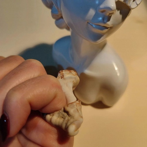 Natural shell ring new, beige