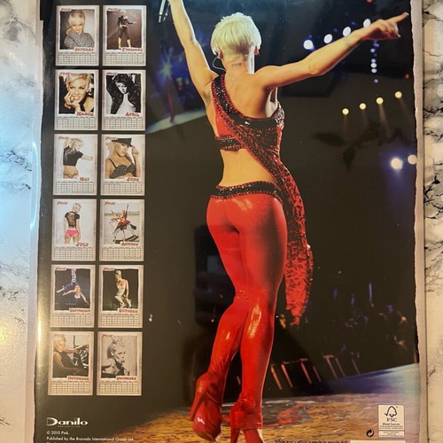 Pink 2011 official A3 calendar new