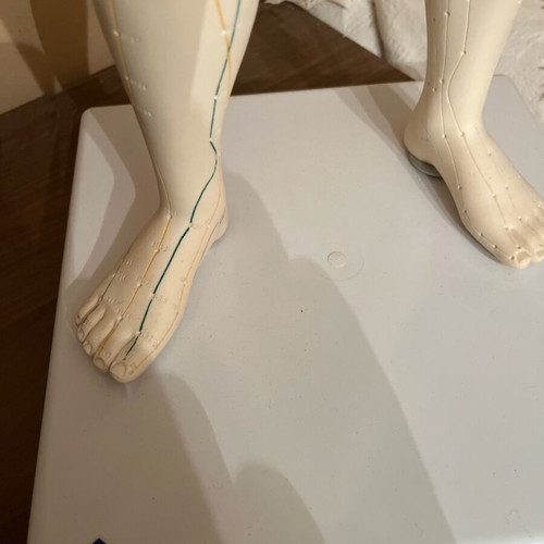 Acupuncture model like new, height 72 centimeters