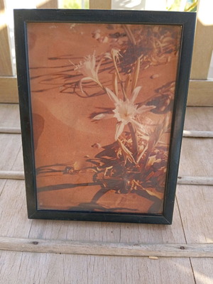 Black photo frame 15×19