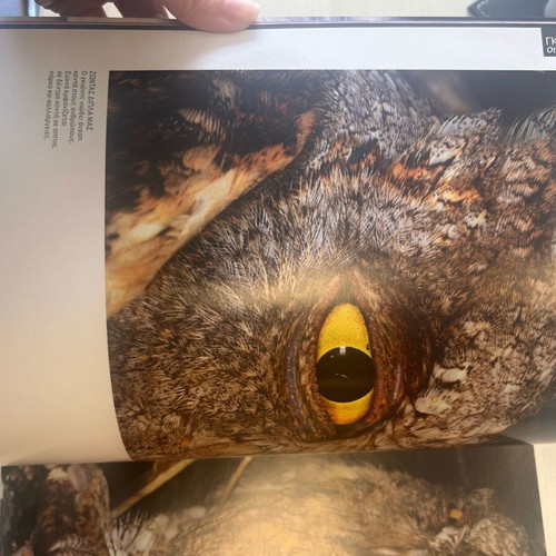Nature Explore Feathered World book new with lens by Giorgos Avagianou