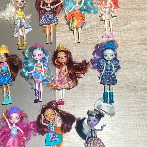 Mattel Enchantimals 14 dolls used, pack