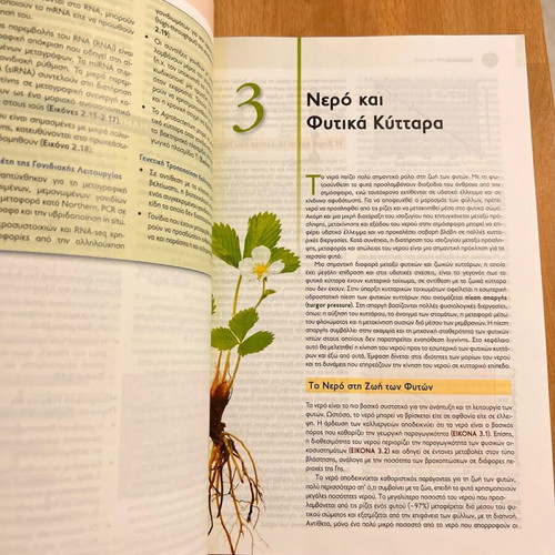 Plant Physiology and Development like new
