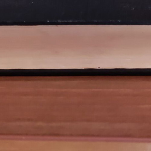 Homer's Odyssey Volume 1 like new, emmetrical translation by Iakovos Polylas