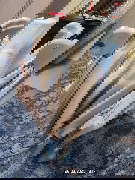  parkokrevato iSleep 2 epipedon mpez chroma