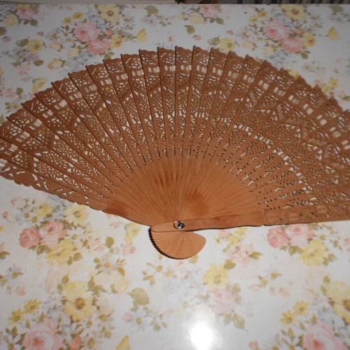 Japanese fans used, set of 2 with case