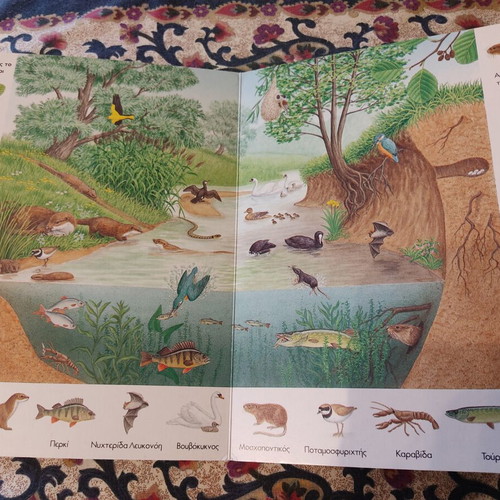 Illustrated Dictionary "Our Nature" Patakis used, hardcover children's book