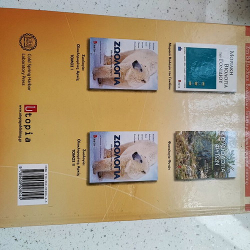 Академична книга Екселики твърда корица като нова