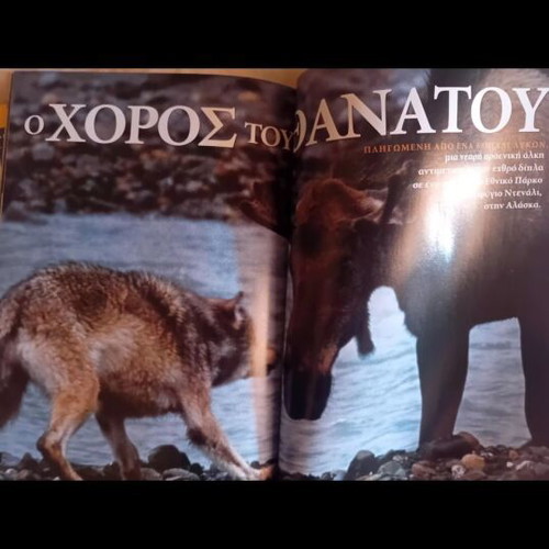 National Geographic magazines like new, pack of 2, Feb and May 2004