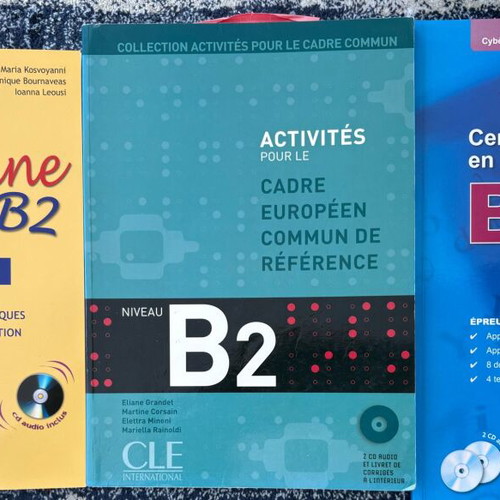 French language learning books like new