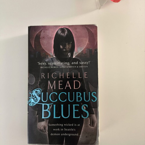 Succubus Blues book like new, English fantasy fiction
